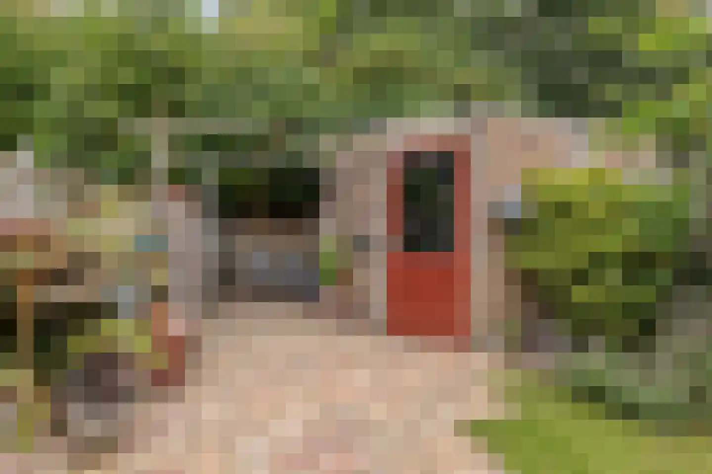 Kwikstaartlaan 40 Alkmaar thumbnail 25