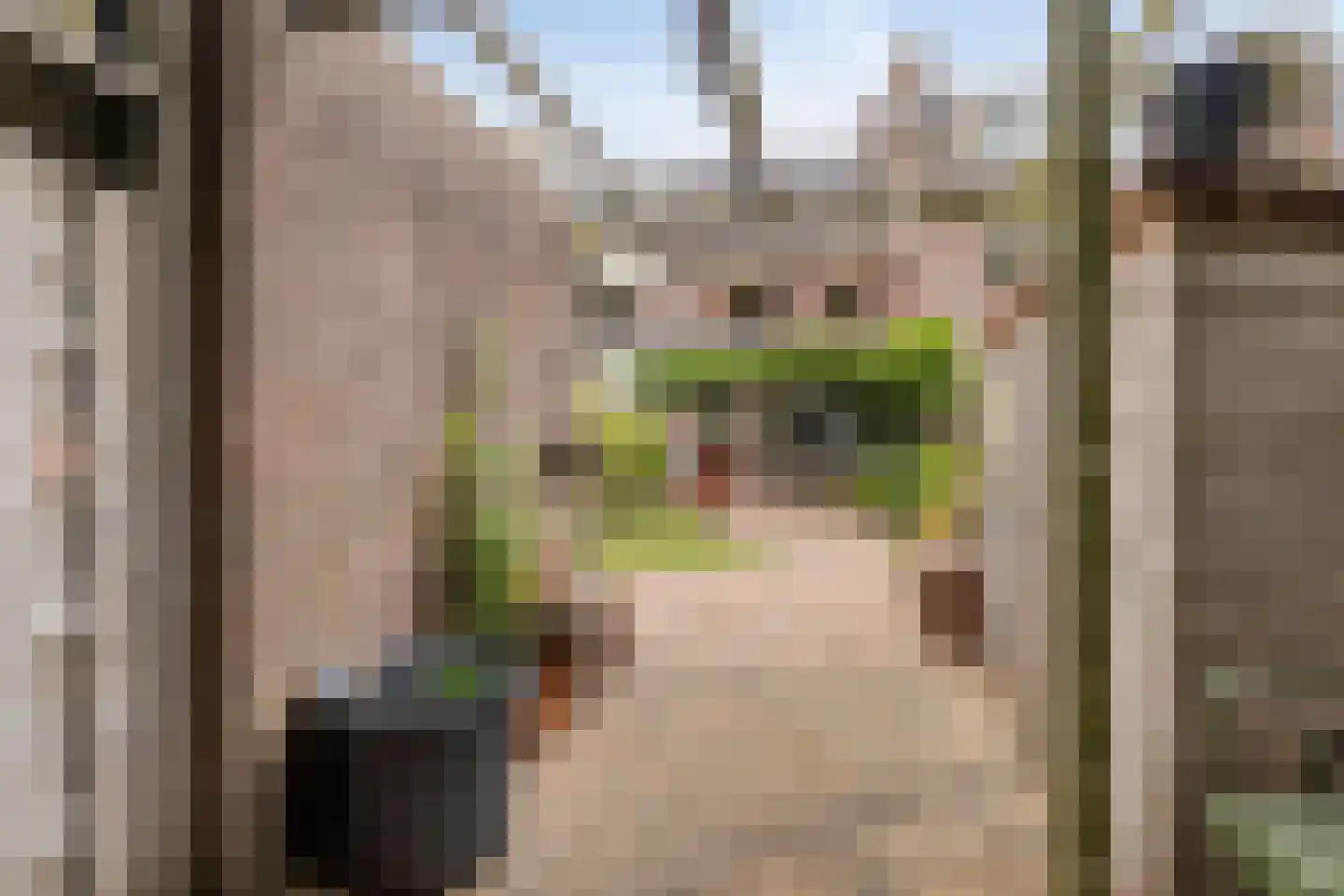 Kwikstaartlaan 40 Alkmaar thumbnail 26