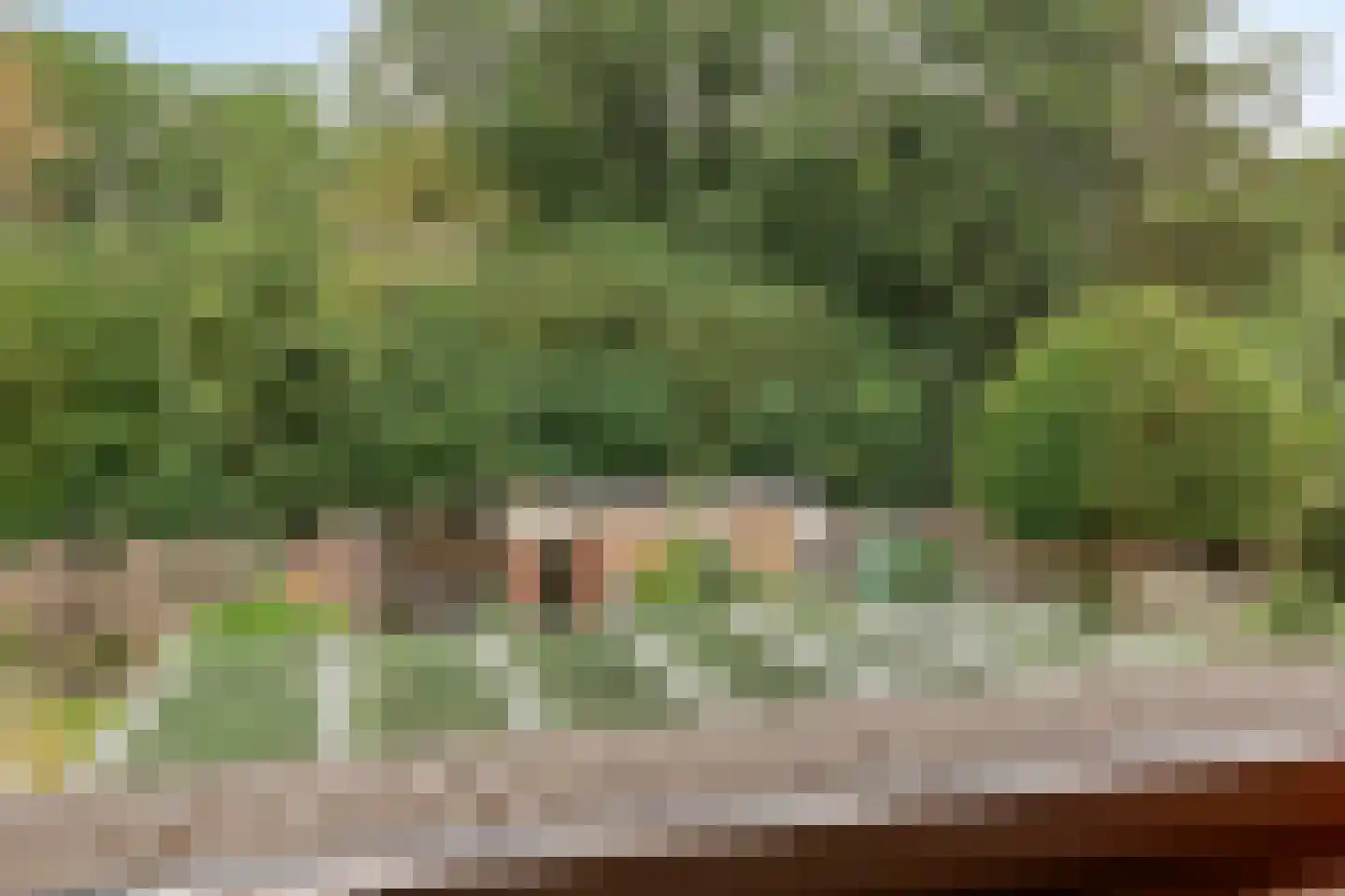Kwikstaartlaan 40 Alkmaar thumbnail 36
