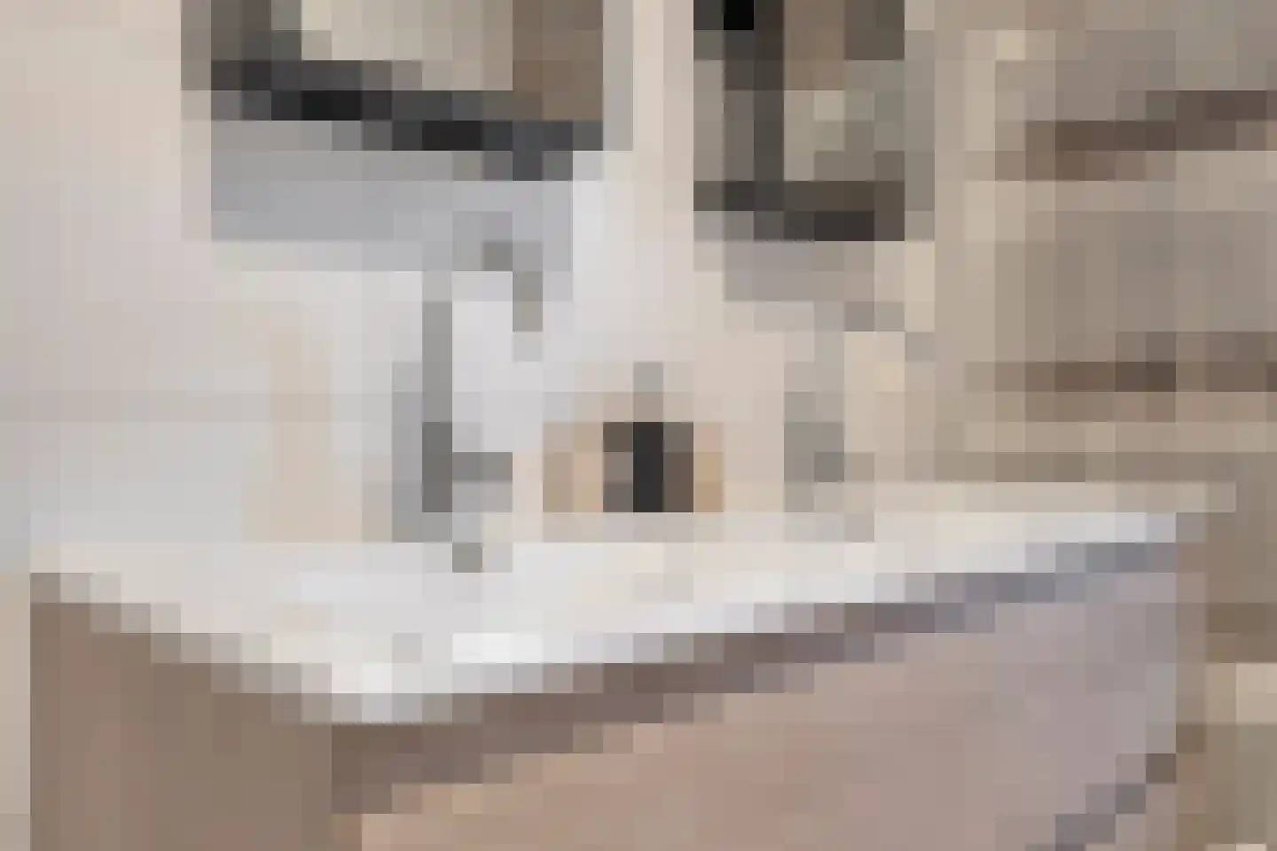 Kwikstaartlaan 40 Alkmaar thumbnail 39
