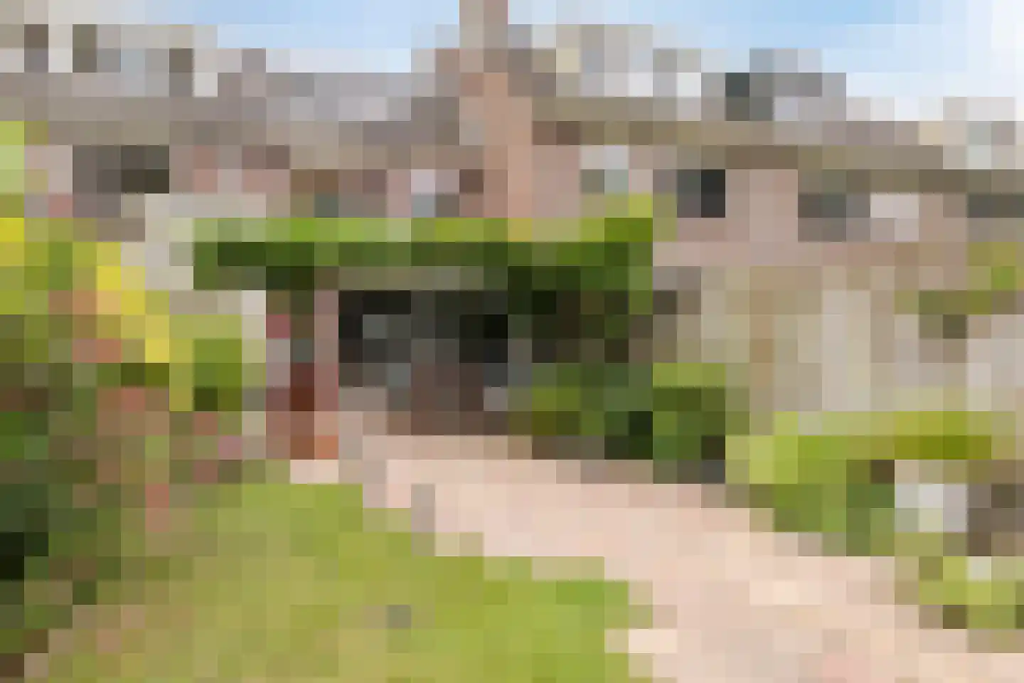 Kwikstaartlaan 40 Alkmaar thumbnail 4
