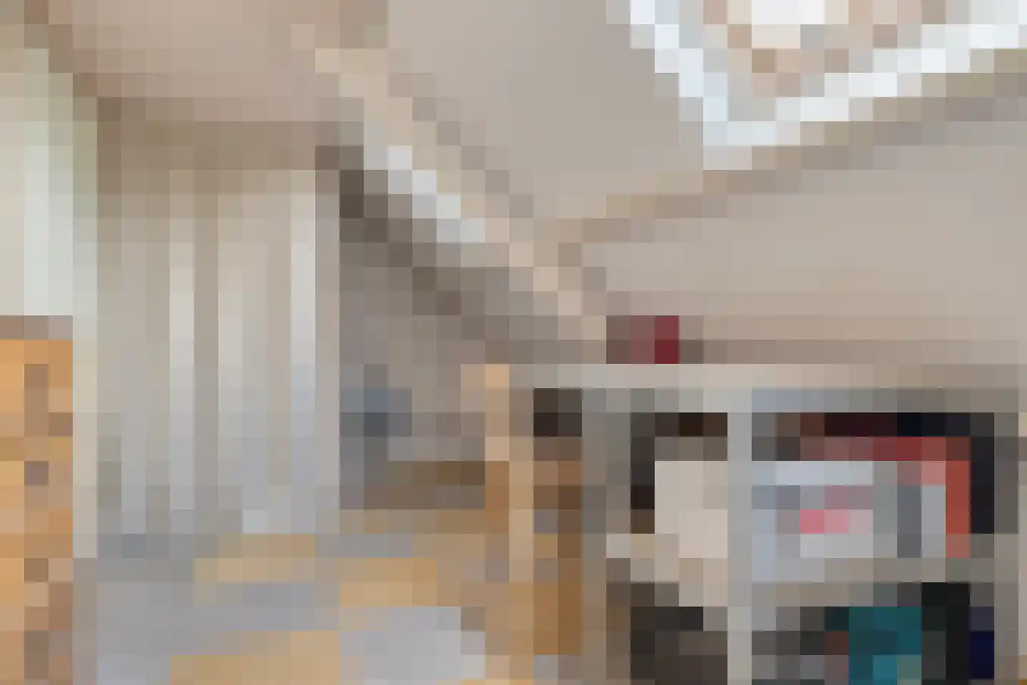 Kwikstaartlaan 40 Alkmaar thumbnail 45