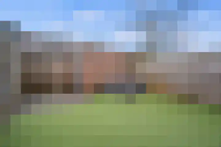 Kwikstaartpad 12 IJsselstein thumbnail 30