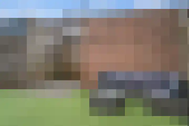 Kwikstaartpad 12 IJsselstein thumbnail 31