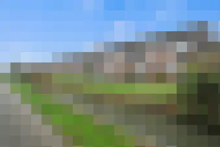 Kwikstaartpad 12 IJsselstein thumbnail 5