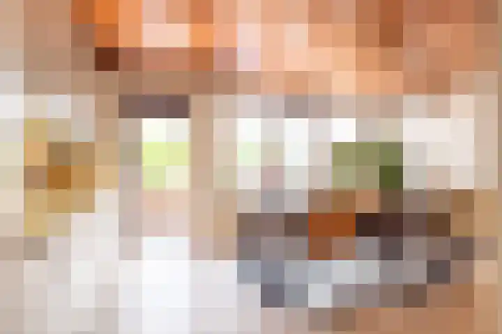 Kwikstaartstraat 29 Kerkrade thumbnail 18
