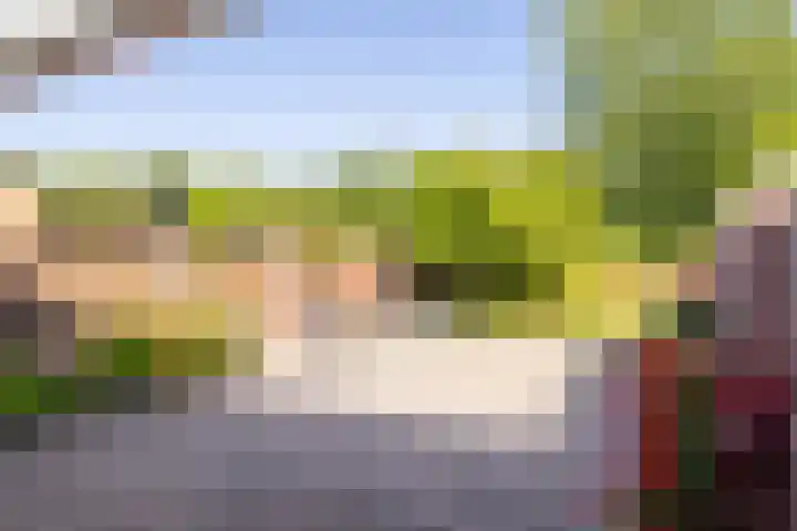 Kwikstaartstraat 29 Kerkrade thumbnail 36