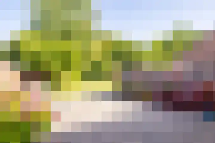 Kwikstaartstraat 29 Kerkrade thumbnail 37