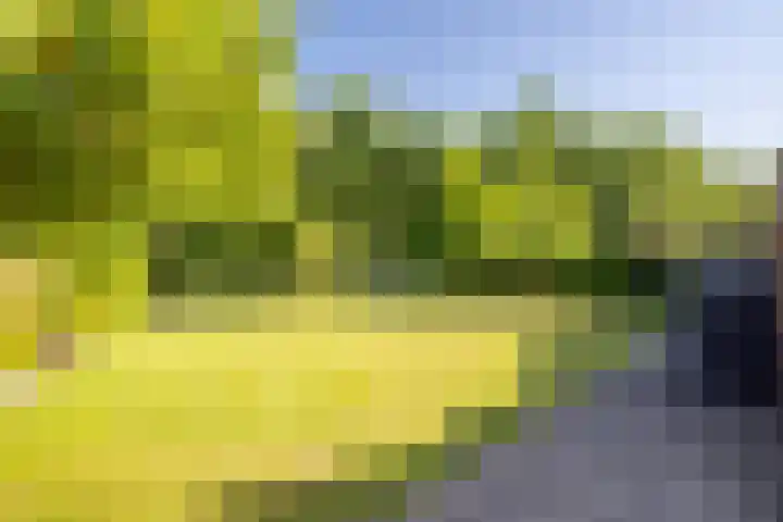 Kwikstaartstraat 29 Kerkrade thumbnail 38