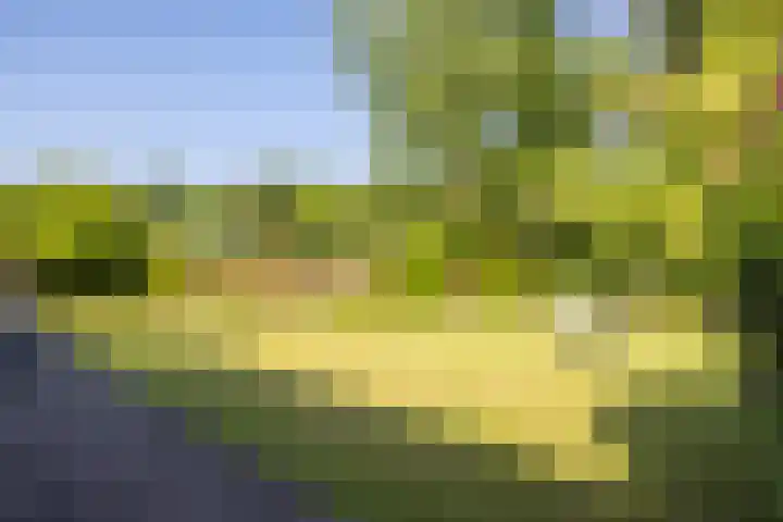 Kwikstaartstraat 29 Kerkrade thumbnail 39