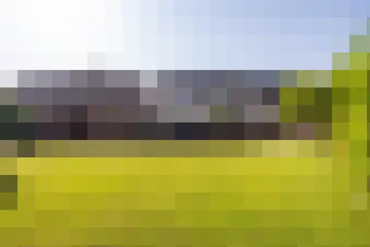 Kwikstaartstraat 29 Kerkrade thumbnail 40