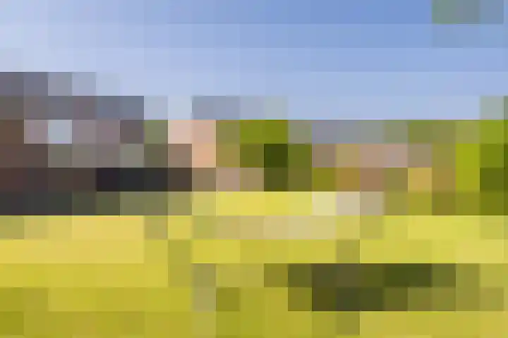 Kwikstaartstraat 29 Kerkrade thumbnail 41