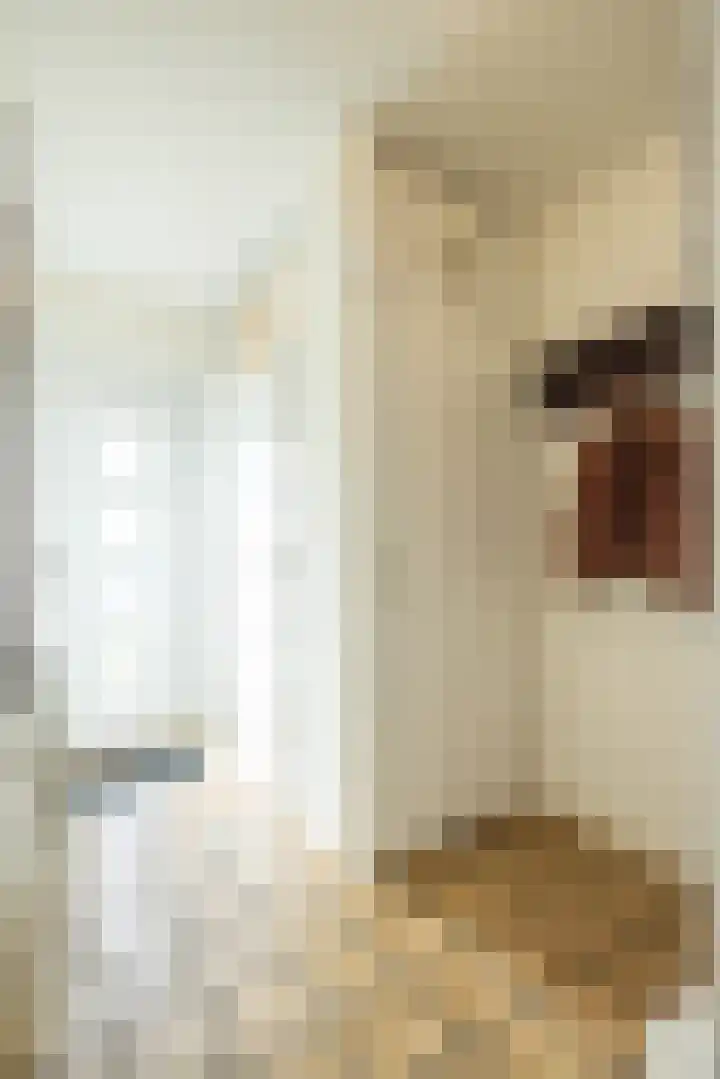 Kwikstaartstraat 29 Kerkrade thumbnail 7