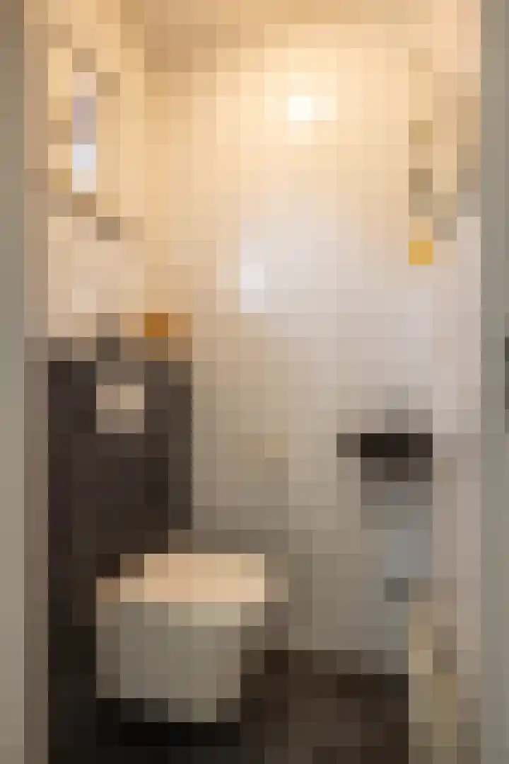 Kwikstaartstraat 29 Kerkrade thumbnail 8