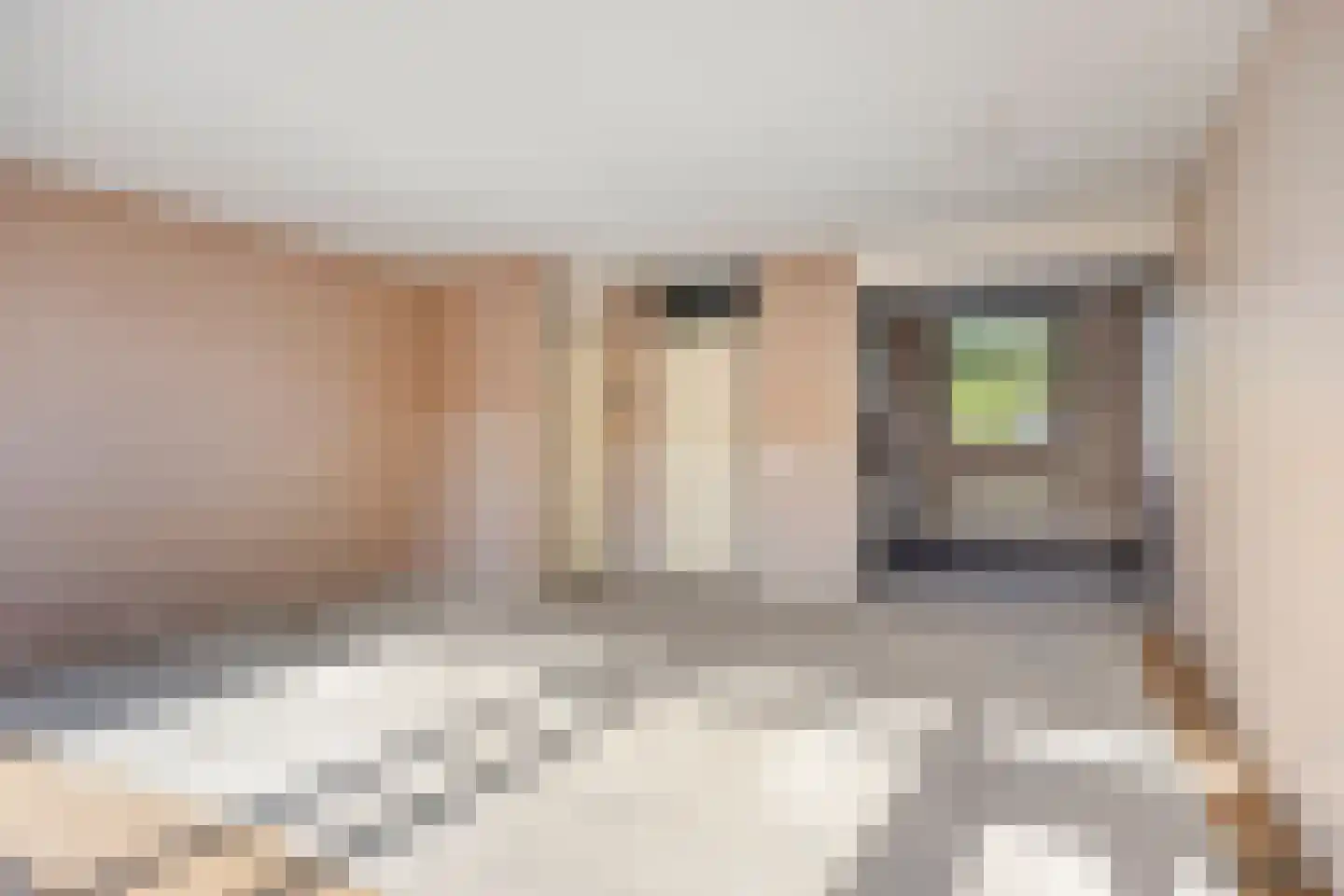 Kwikstaartveld 10 Zoetermeer thumbnail 10