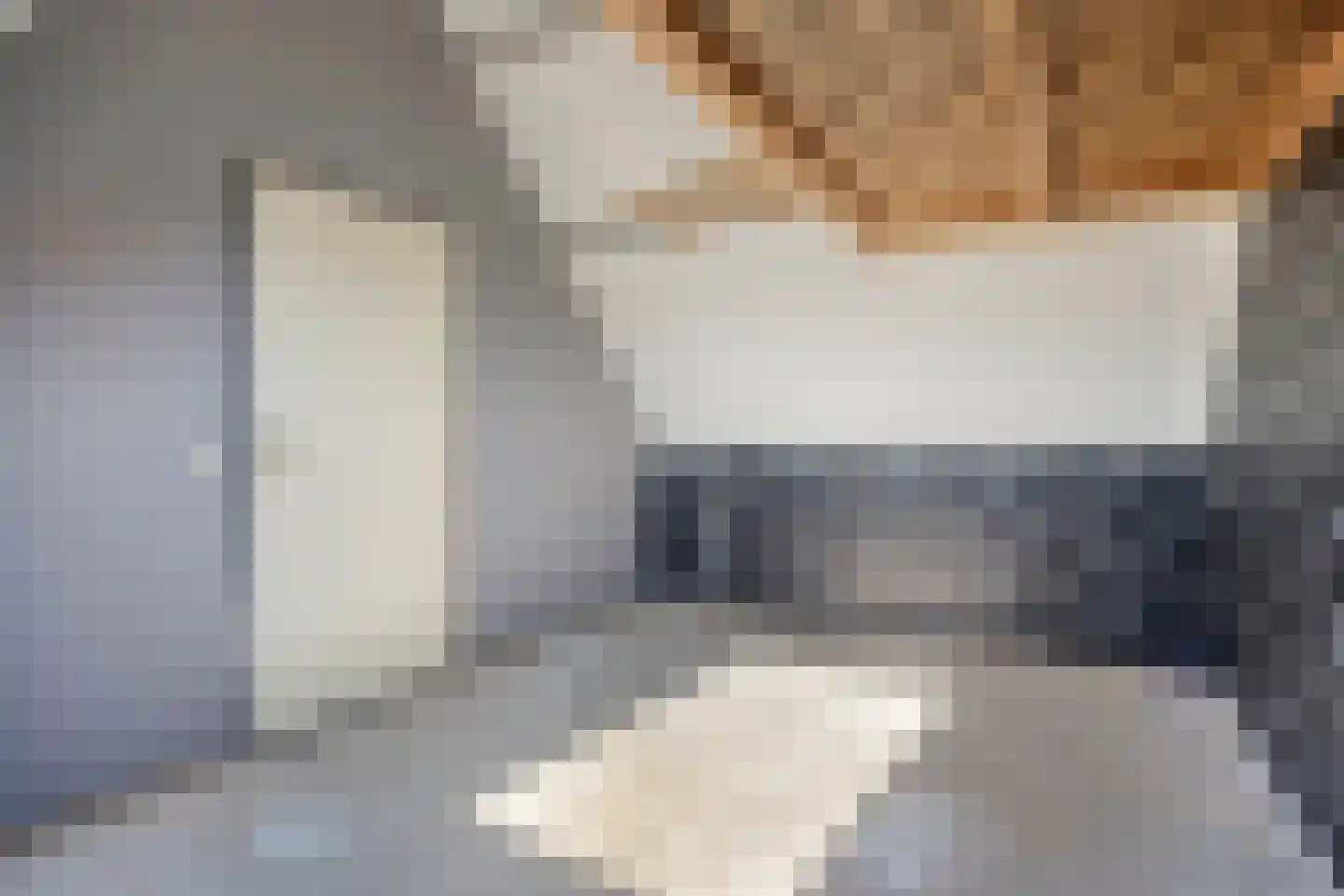 Kwikstaartveld 10 Zoetermeer thumbnail 28