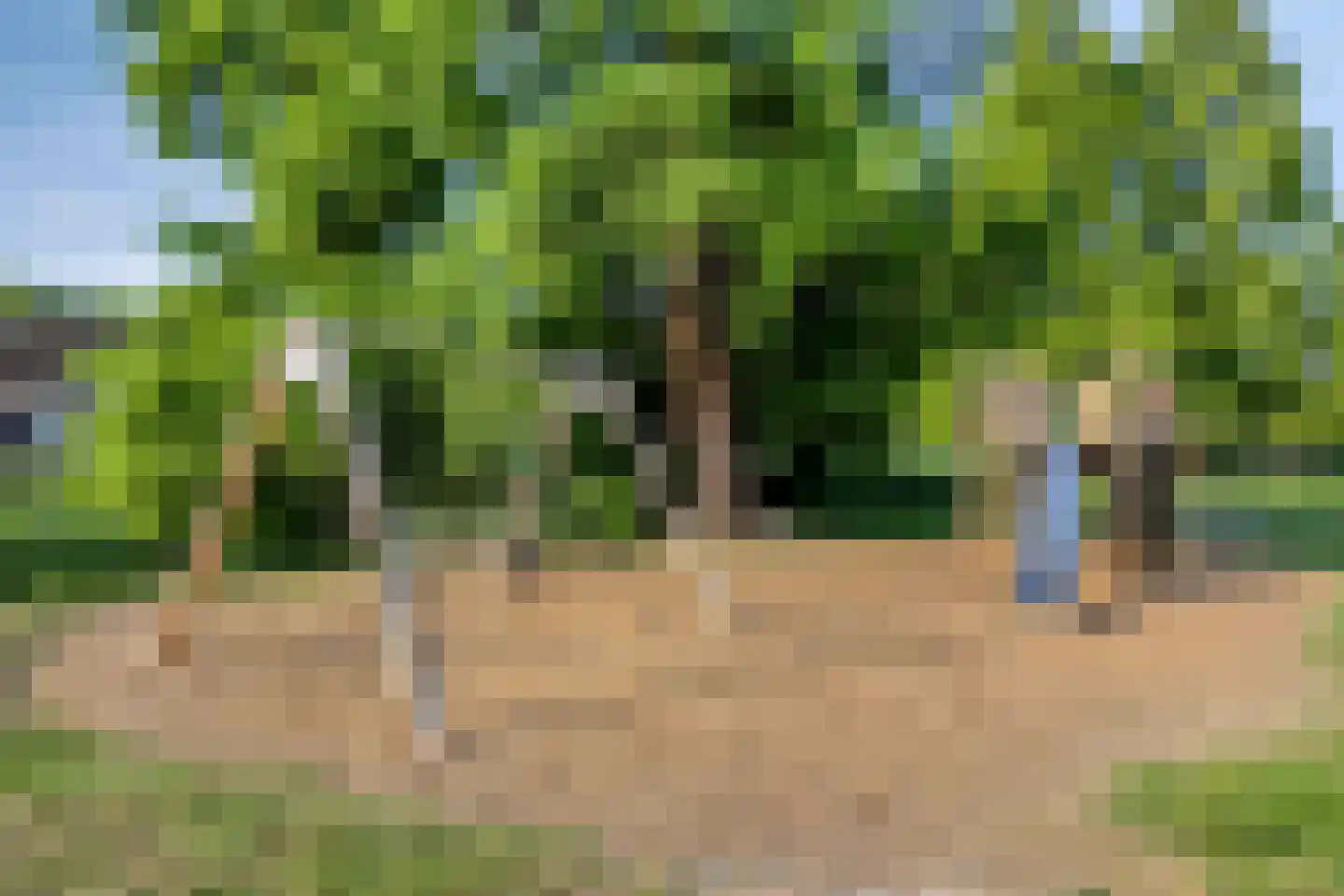 Kwikstaartveld 10 Zoetermeer thumbnail 35