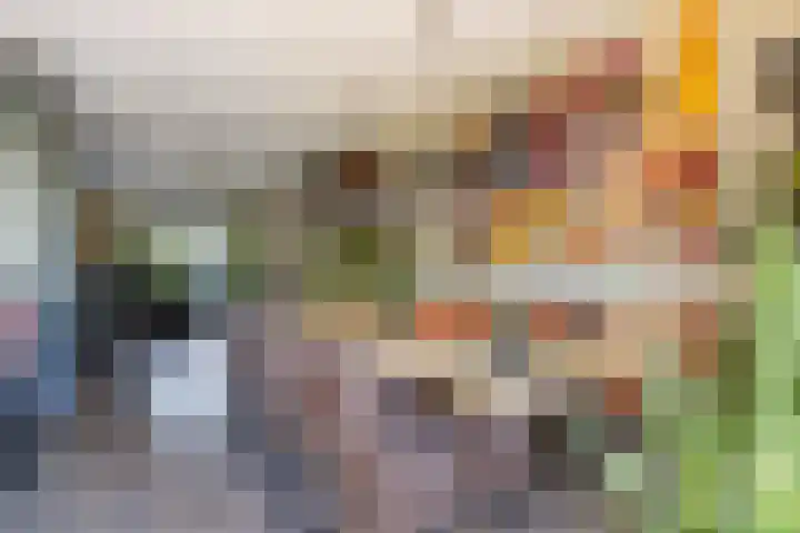 Kwikstaartweide 2 Renswoude thumbnail 12