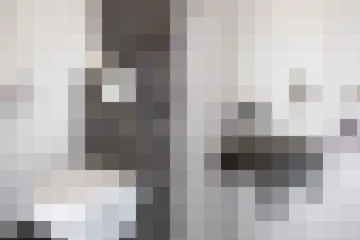 Kwikstaartweide 2 Renswoude thumbnail 13