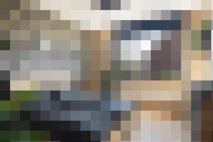 Kwikstaartweide 2 Renswoude thumbnail 15