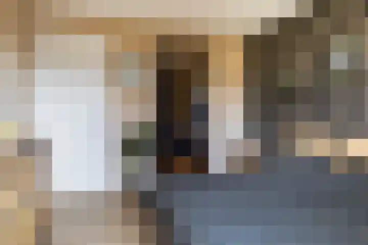 Kwikstaartweide 2 Renswoude thumbnail 16