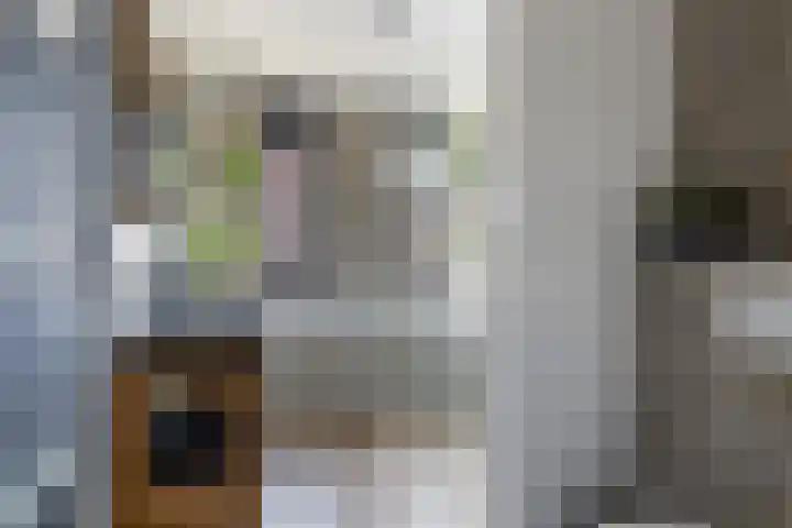Kwikstaartweide 2 Renswoude thumbnail 17