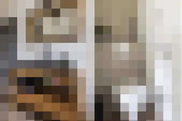Kwikstaartweide 2 Renswoude thumbnail 18