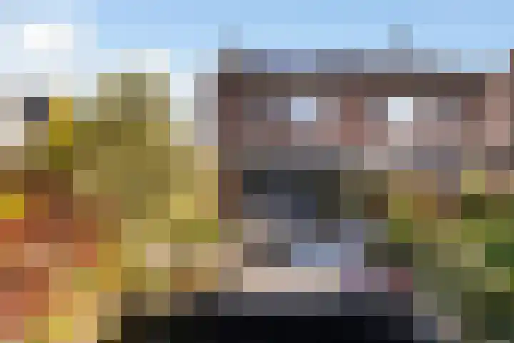 Kwikstaartweide 2 Renswoude foto 2