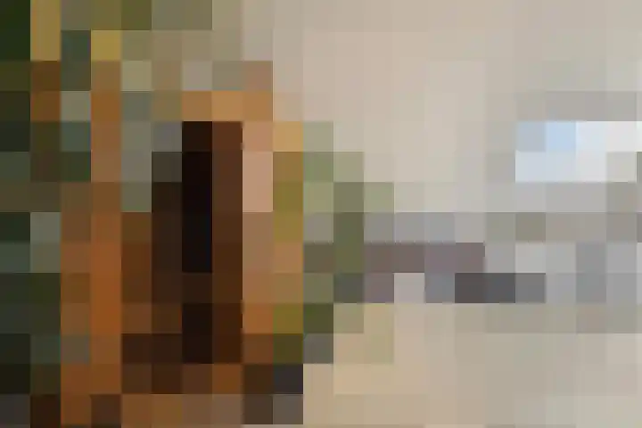 Kwikstaartweide 2 Renswoude thumbnail 24