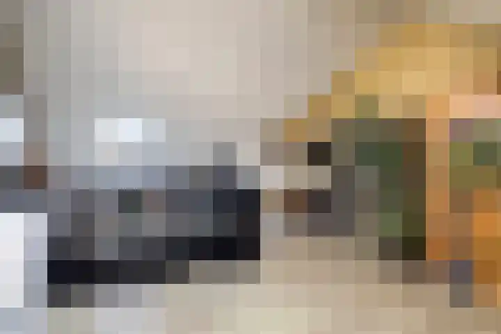 Kwikstaartweide 2 Renswoude thumbnail 25