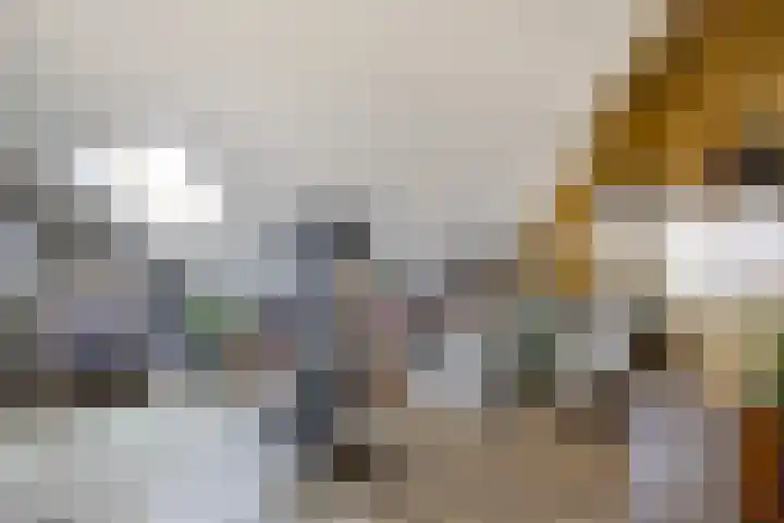 Kwikstaartweide 2 Renswoude thumbnail 26