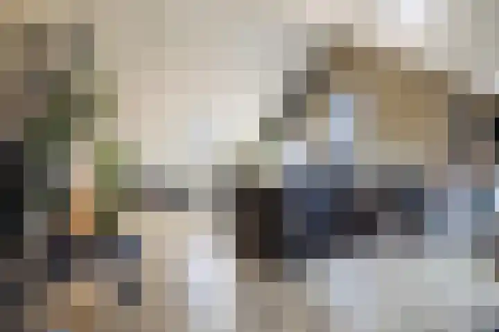 Kwikstaartweide 2 Renswoude thumbnail 27