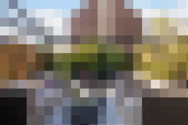 Kwikstaartweide 2 Renswoude thumbnail 29