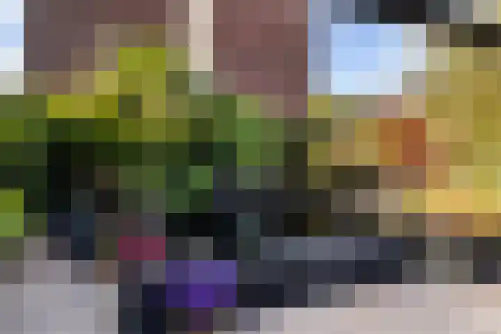 Kwikstaartweide 2 Renswoude thumbnail 31