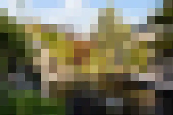 Kwikstaartweide 2 Renswoude thumbnail 32