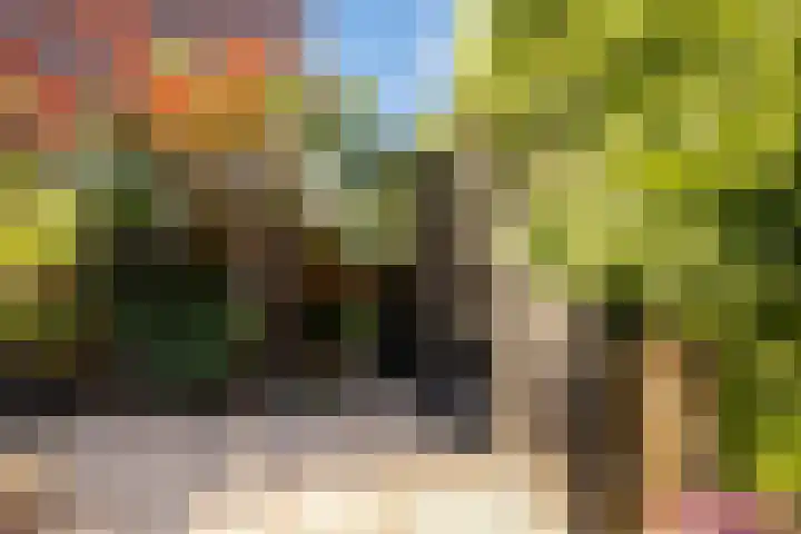 Kwikstaartweide 2 Renswoude thumbnail 33