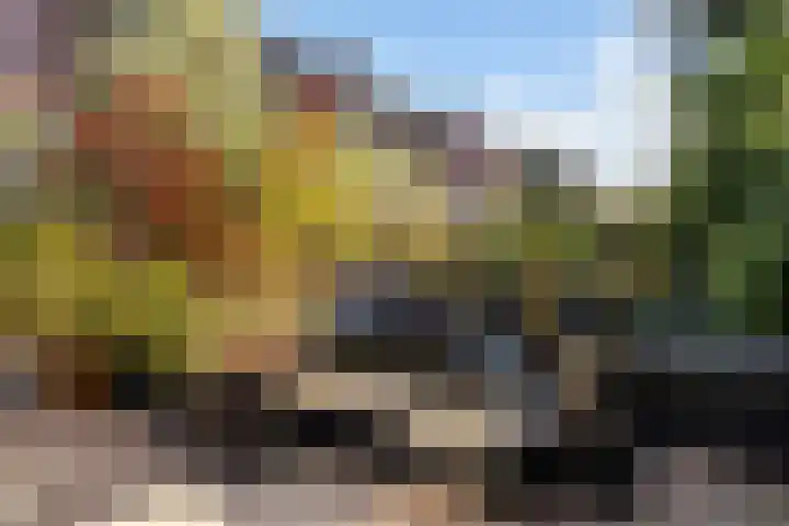 Kwikstaartweide 2 Renswoude thumbnail 34