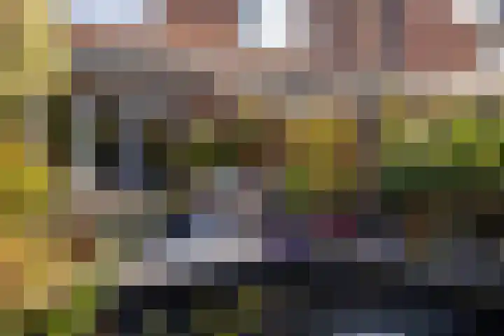 Kwikstaartweide 2 Renswoude thumbnail 35