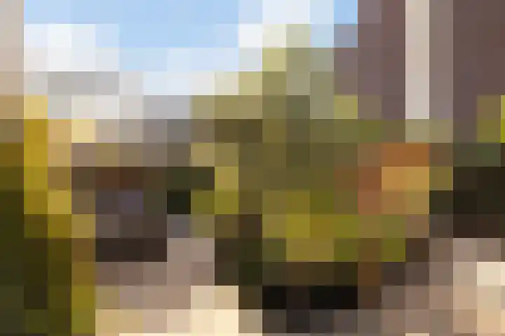 Kwikstaartweide 2 Renswoude thumbnail 36