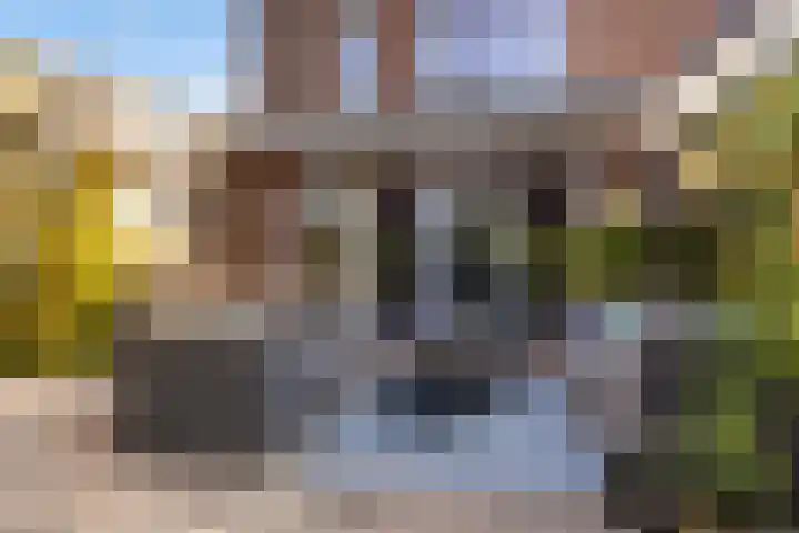 Kwikstaartweide 2 Renswoude thumbnail 37