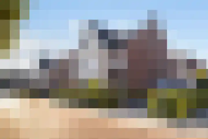 Kwikstaartweide 2 Renswoude thumbnail 39