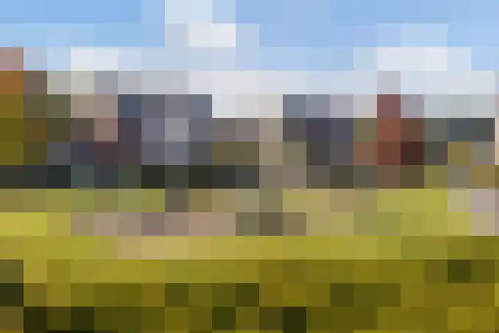 Kwikstaartweide 2 Renswoude thumbnail 41