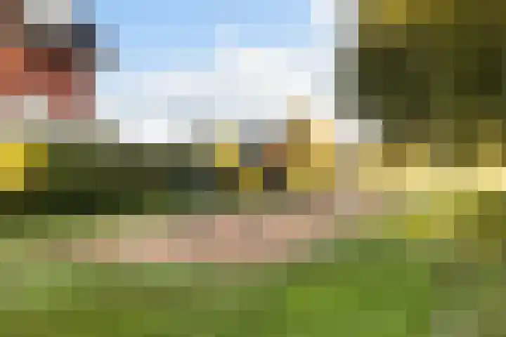 Kwikstaartweide 2 Renswoude thumbnail 42