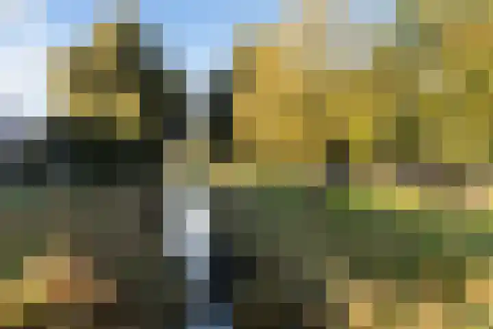Kwikstaartweide 2 Renswoude thumbnail 43
