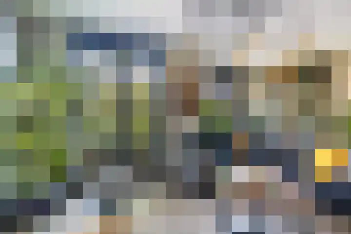 Kwikstaartweide 2 Renswoude thumbnail 5