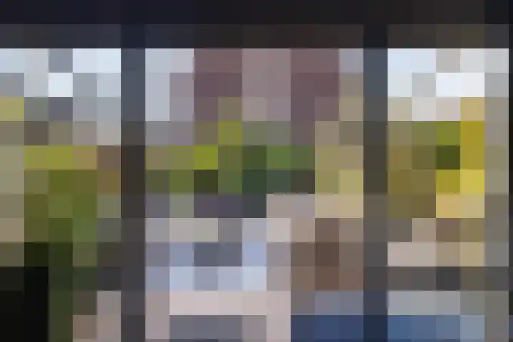 Kwikstaartweide 2 Renswoude thumbnail 8