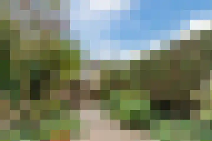 Kwikstaartweide 25 Wageningen thumbnail 32