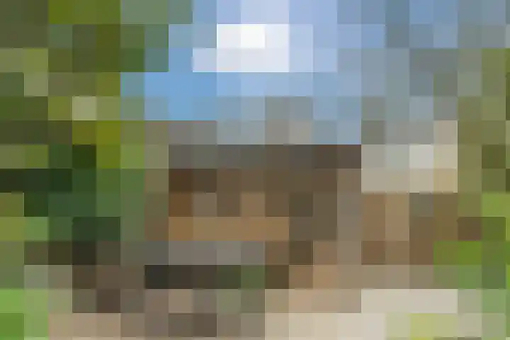 Kwikstaartweide 25 Wageningen thumbnail 33