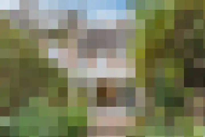 Kwikstaartweide 25 Wageningen thumbnail 34