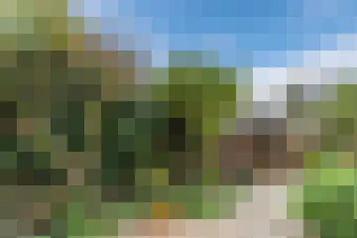 Kwikstaartweide 25 Wageningen thumbnail 35